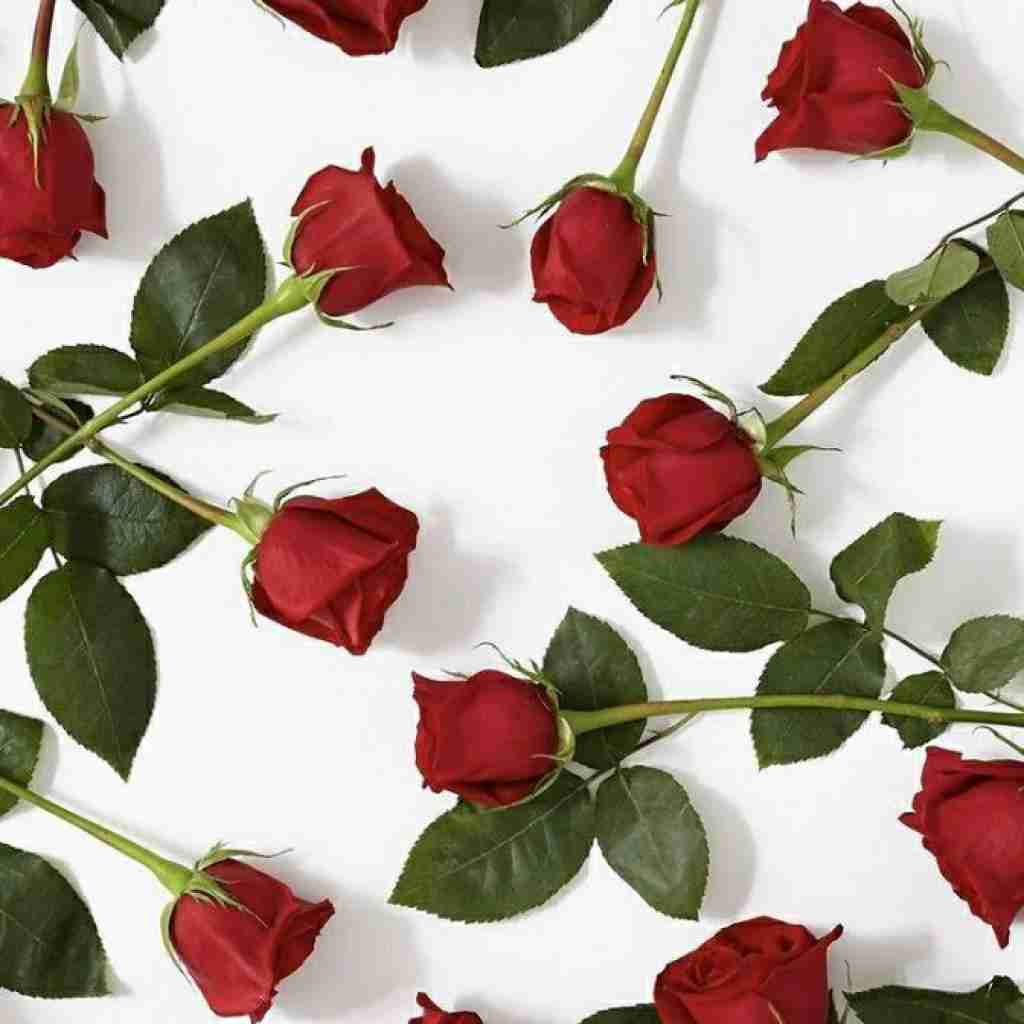 ریلزش میلیونی خوره بیبه کی میتونه اینجوری کنه شیکش