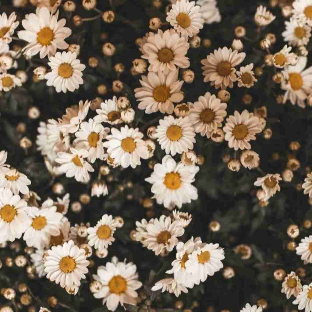 من مجنونتم تو اون لیله باش با صدای زن - هوش مصنوعی