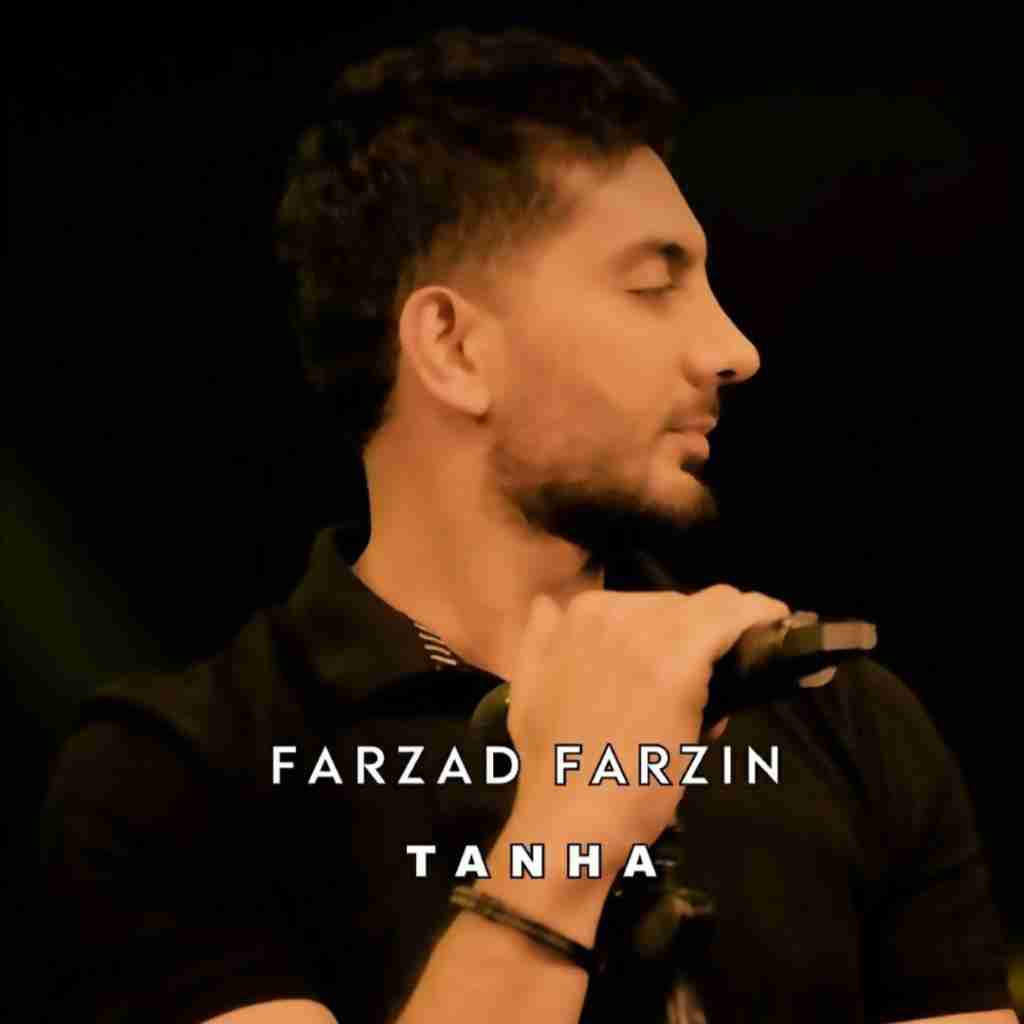 فرزاد فرزین تنها