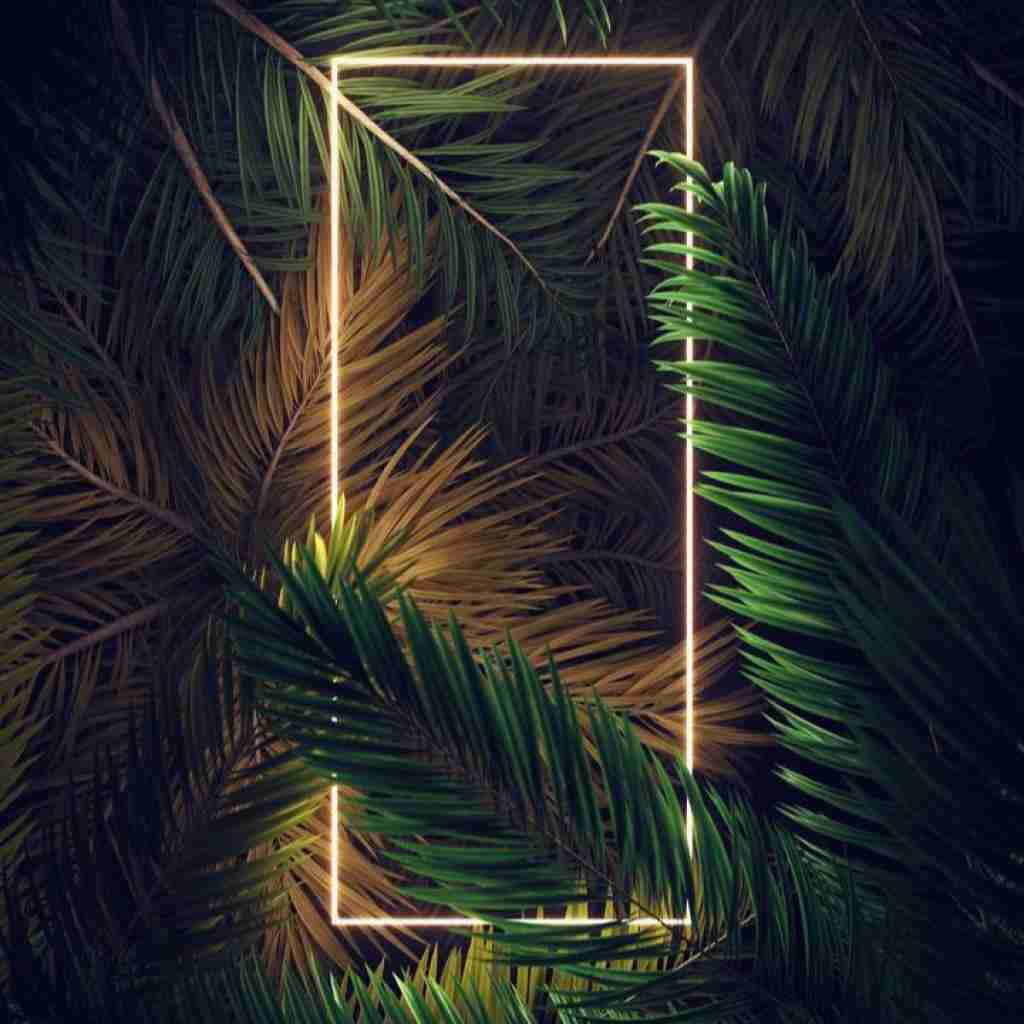 هر عشقی میمیرد خاموشی میگیرد با صدای دختر