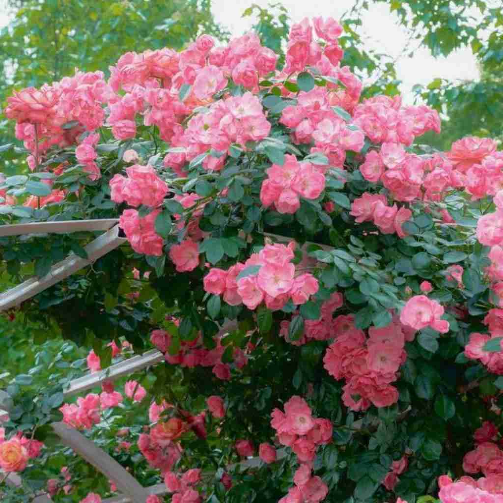 خون توی رگ های منی تو جای چشمای منی - هوش مصنوعی
