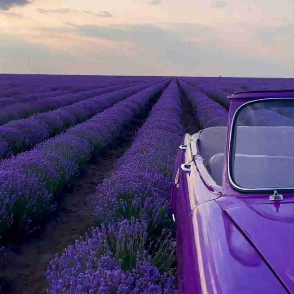مو از بوشهر میروم سی همیشه با صدای دختر