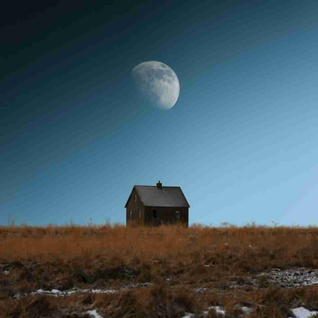 ماهک نمیچینم گلی که خار داره دلبر