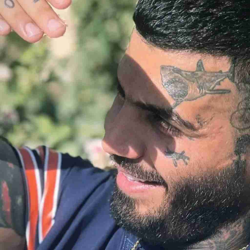 مهدیار نقاشی