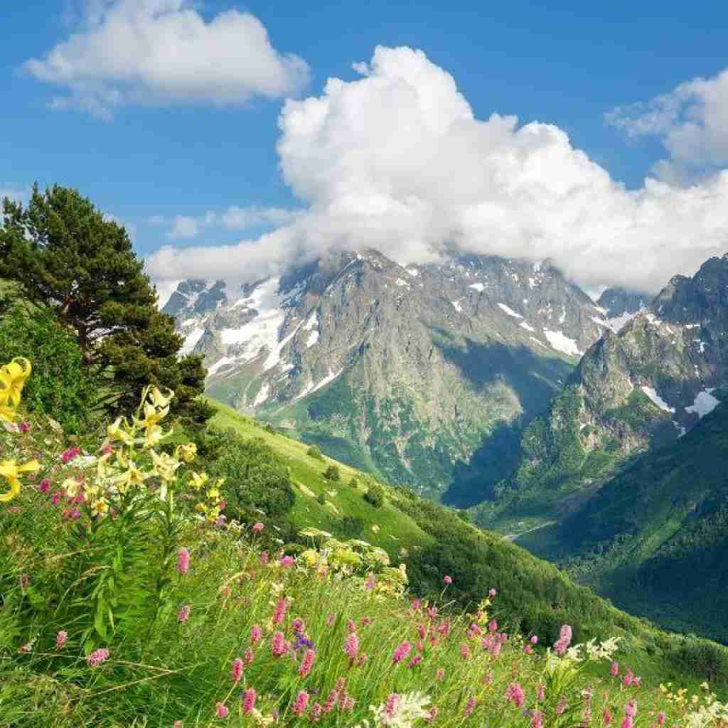 کولر آبی دیگه جواب نمیده میپرسی چرا با صدای پسر
