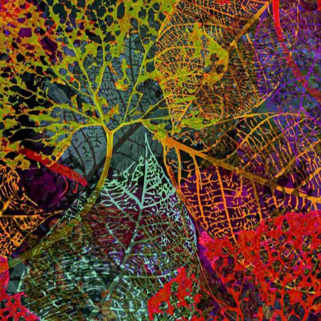 میاره دو تا پیک جلو روم و هی میگه (ترند اینستایی)