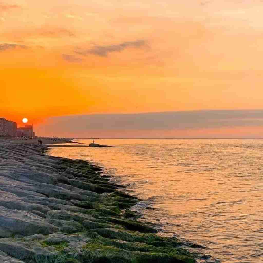 بوی تنت دیگه رفته از رو تختم صبحا سخته پاشم