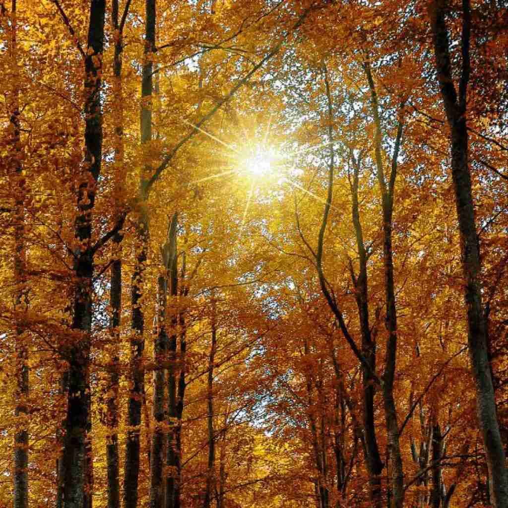 نوکرتم ننه جهان کوچیکو فانیه ننه (میکس اینستایی)