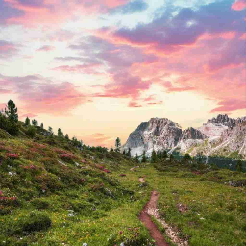 یعنی بازم میشه برگردی تو که گل عشقو تو دلم