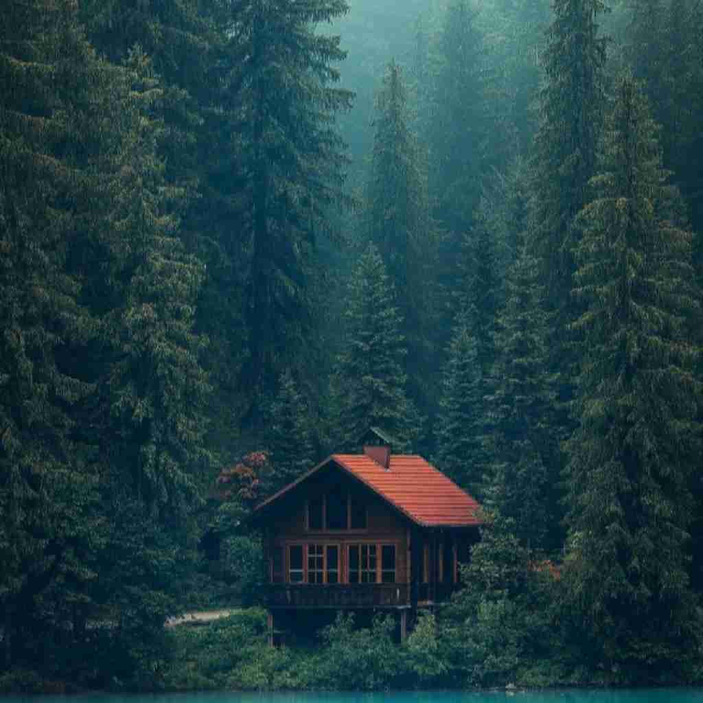 با یه هویت قلابی چقد به این دیوونه قول دادی