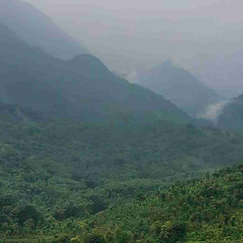 تو نت گوشیم نوشتم تو بودی قاتلم