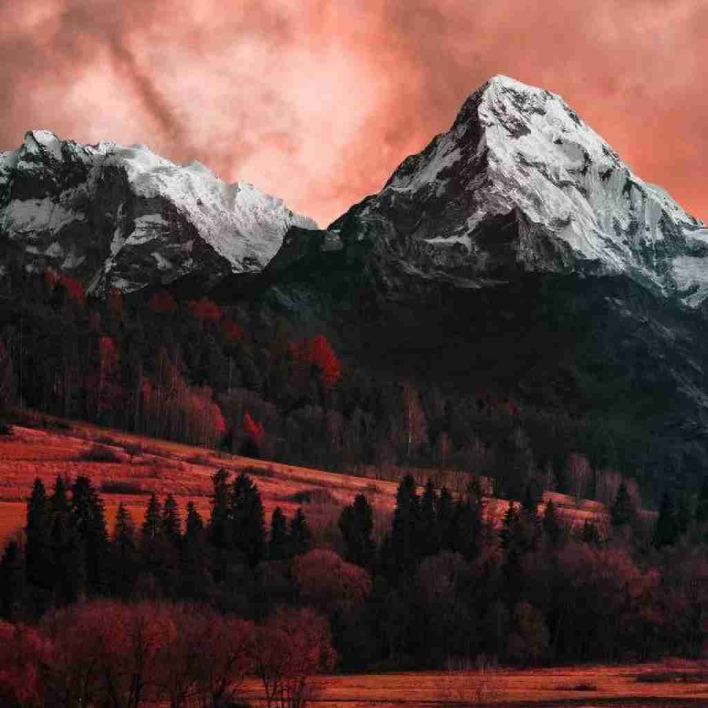 بهتره نبینیم همو وقتی نمیفهمی هرچی میگم