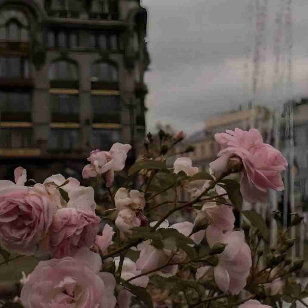 درد های واقعی میسازه مرد های واقعی (میکس اینستایی)