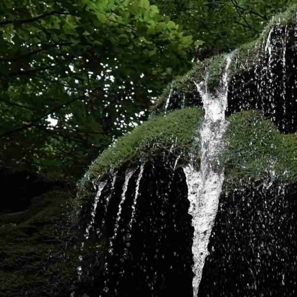 کاش دنیا بچرخه به تو برسم با صدای دختر