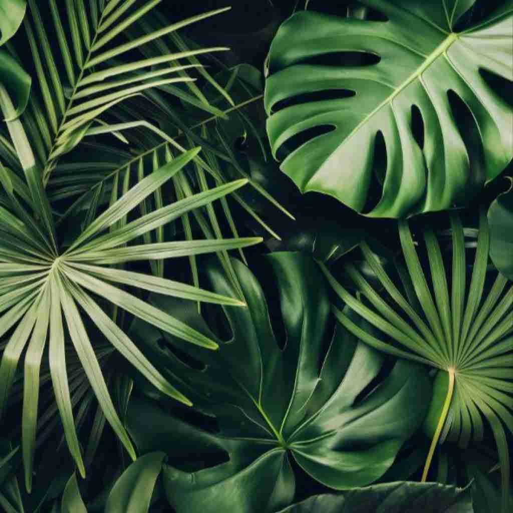  فکر میکنم نفر بعدی چقد طول میشه باهام