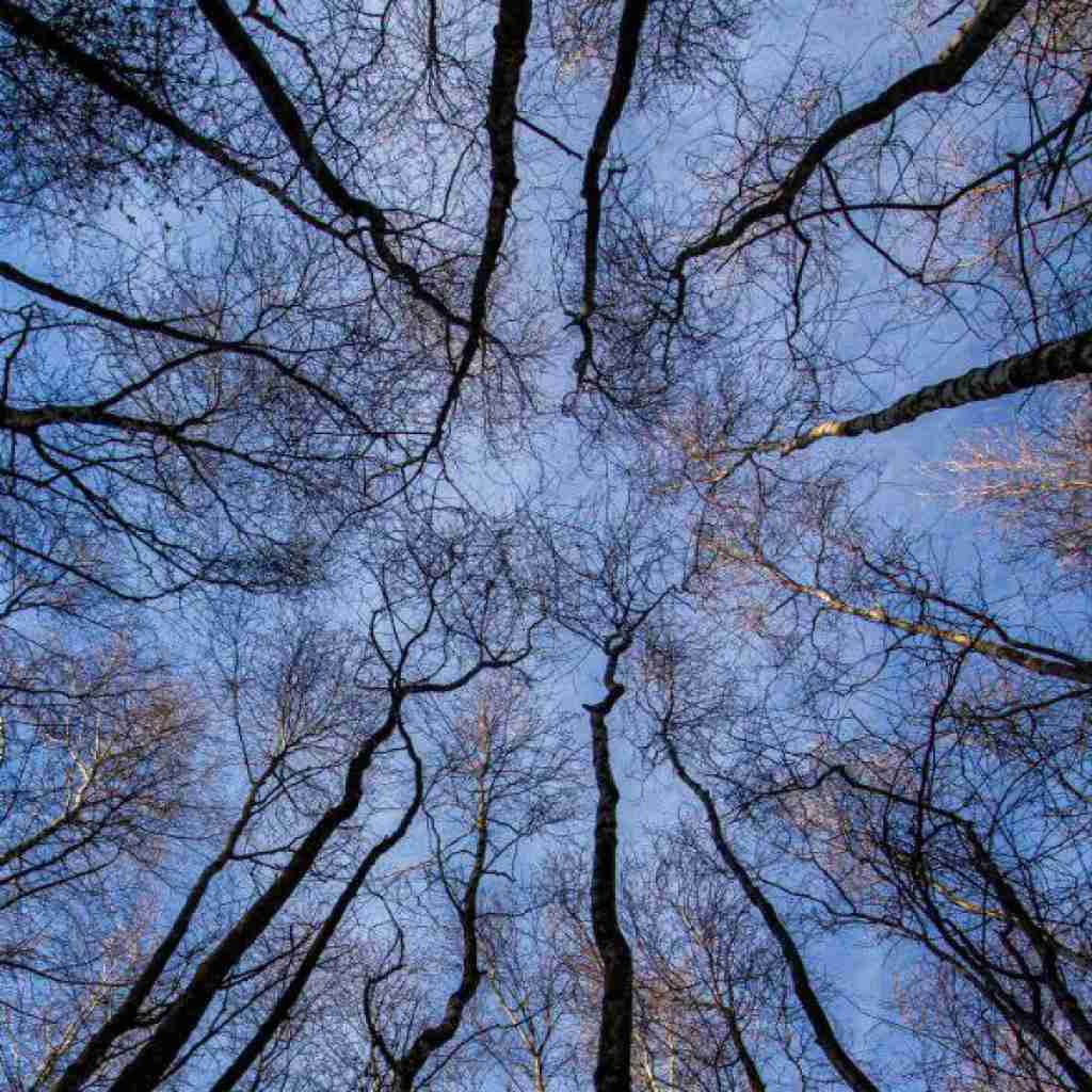 افتادم یه لیوان بده به من رفتنت به پای اون که (میکس اینستایی)