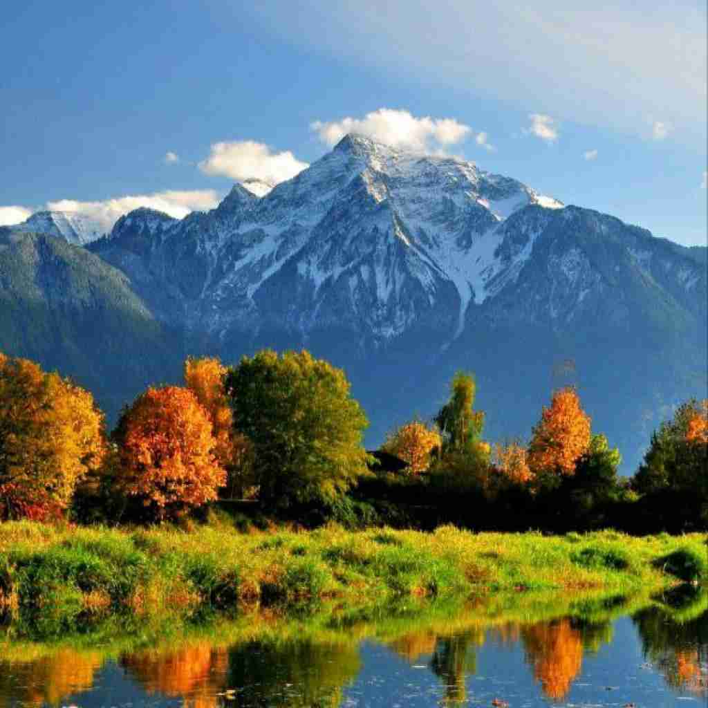 ما همه طایفه ی دومادیم همه مون رو صندلی با صدای دختر