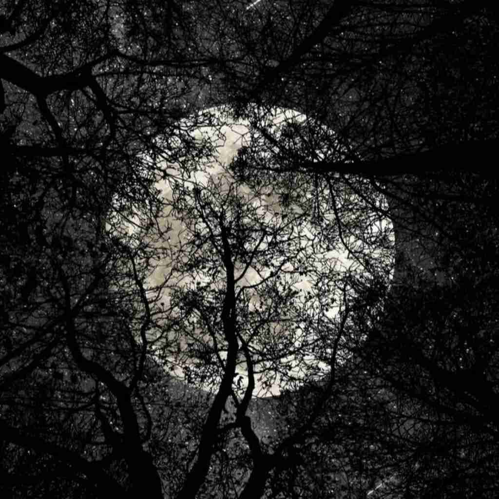 ماهک دیوارتم مگه هی مینویسی و هی پاک میکنی