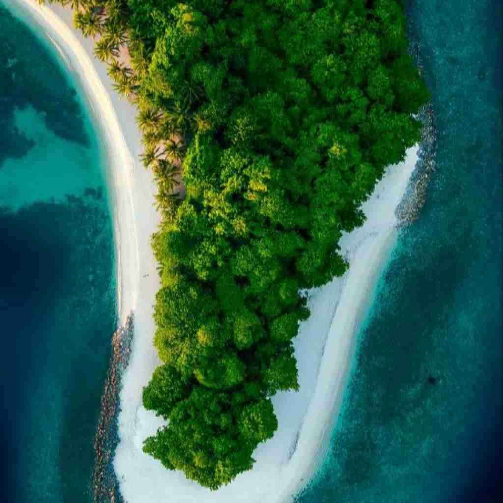 هم میدونم انتهامو هم یادمه از کجا شروع میشم