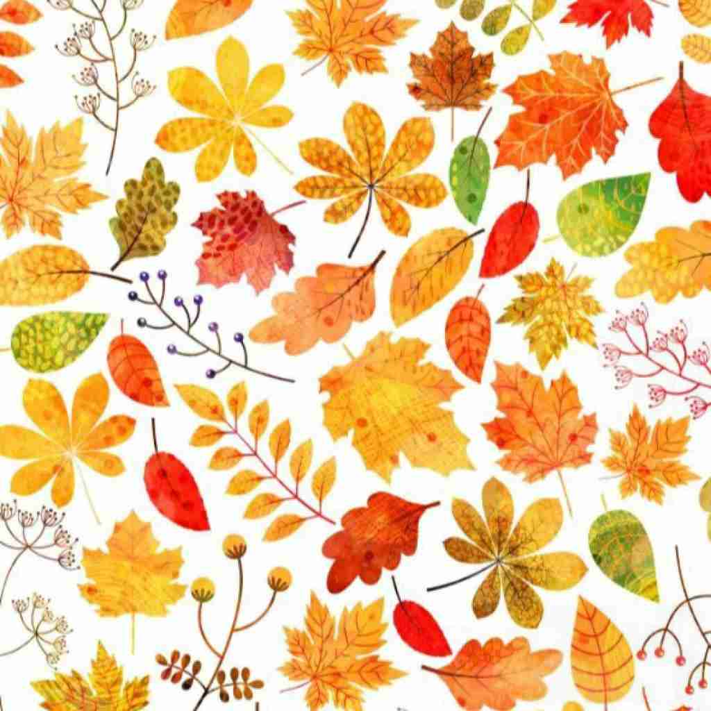 ماهی بشی میشم دریاترین عاشق با صدای زن - هوش مصنوعی