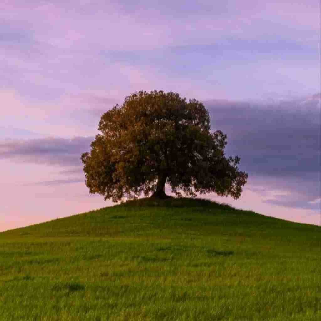 تف تف رو شعرام قفل هنو مشروب گرونه (میکس اینستایی)