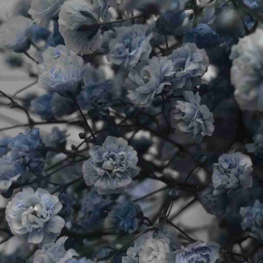 ترکی وایسا چی فک کردی تو رو من نه خدا ببخشه گاو