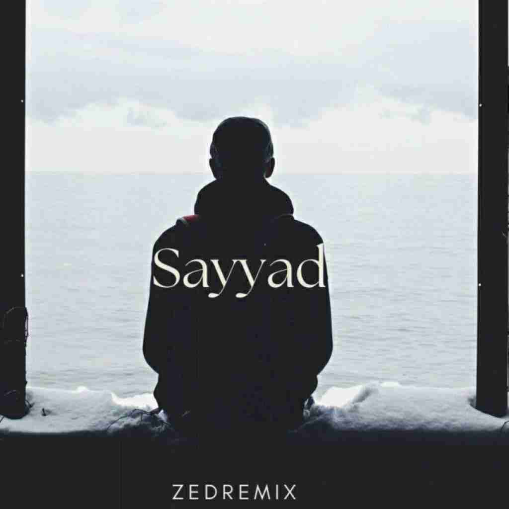 زد ریمیکس صیاد