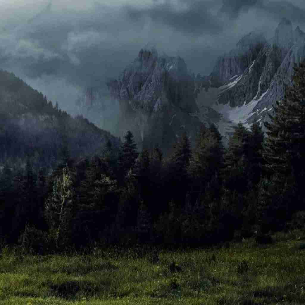آدم بی معرفت صد رحمت به سگ هرکس زد (میکس اینستایی)
