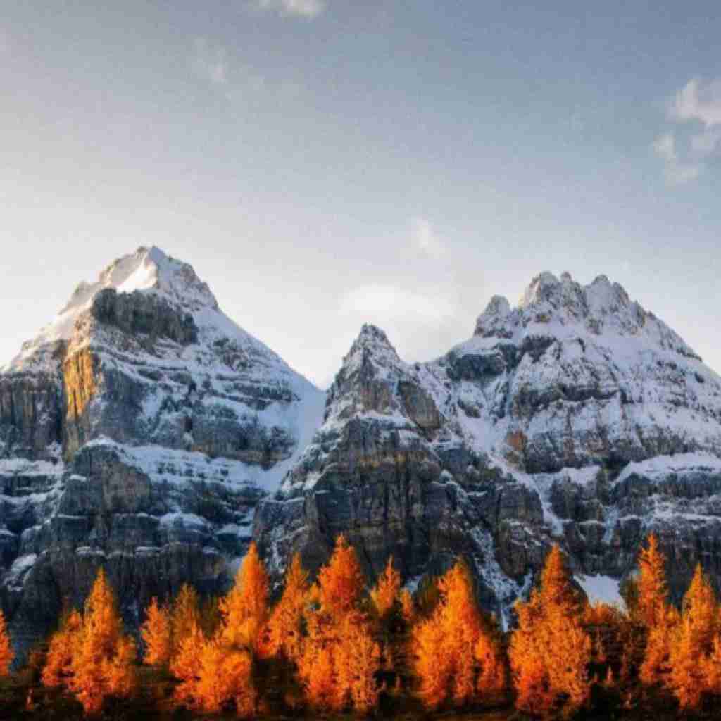 سیگار رو لبام کام میده توی سرما