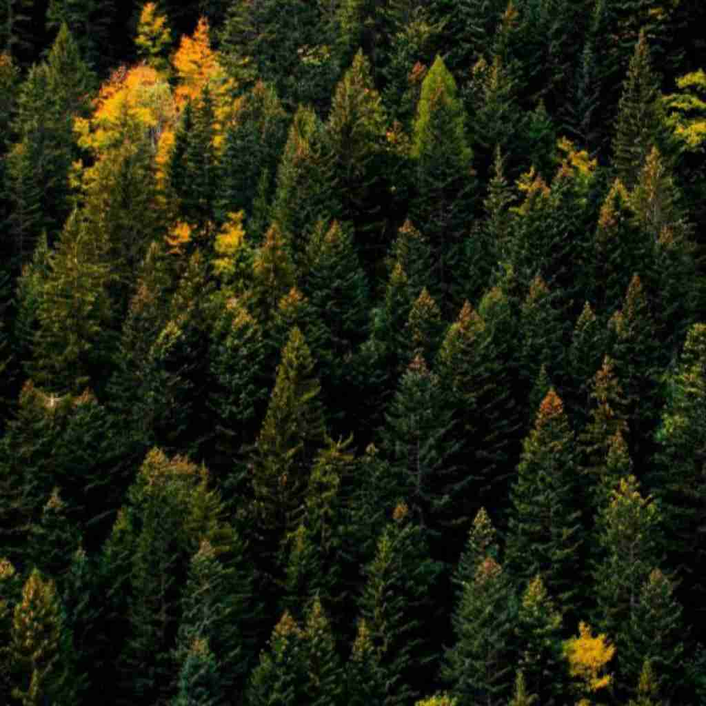 بزرگتر که میشم بیشتر میفهمم همه اشتباه میکنن با صدای دختر