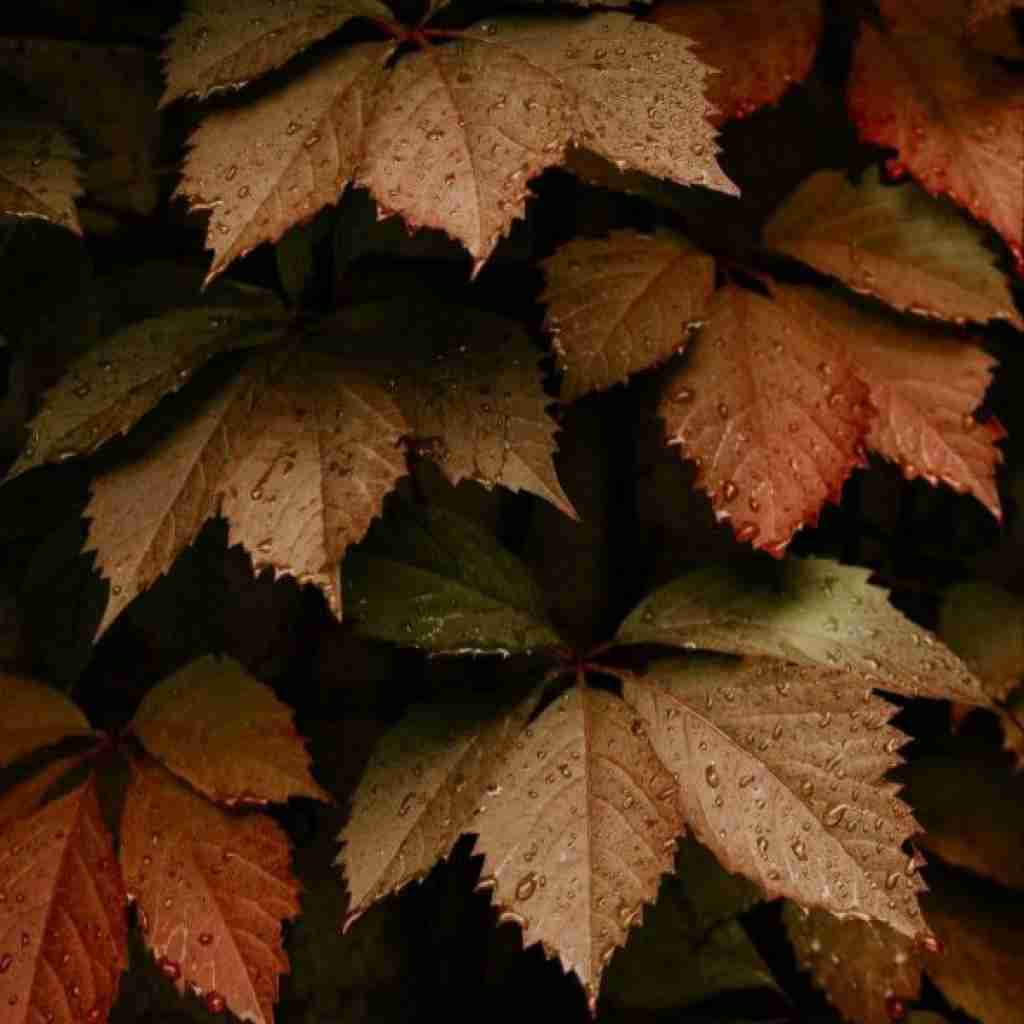 عروسک خوشگله من بشین کنار دل من (میکس اینستایی)