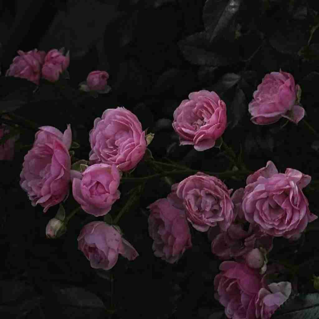 هرچی که بین ما بود بیبی دیگه تمومه