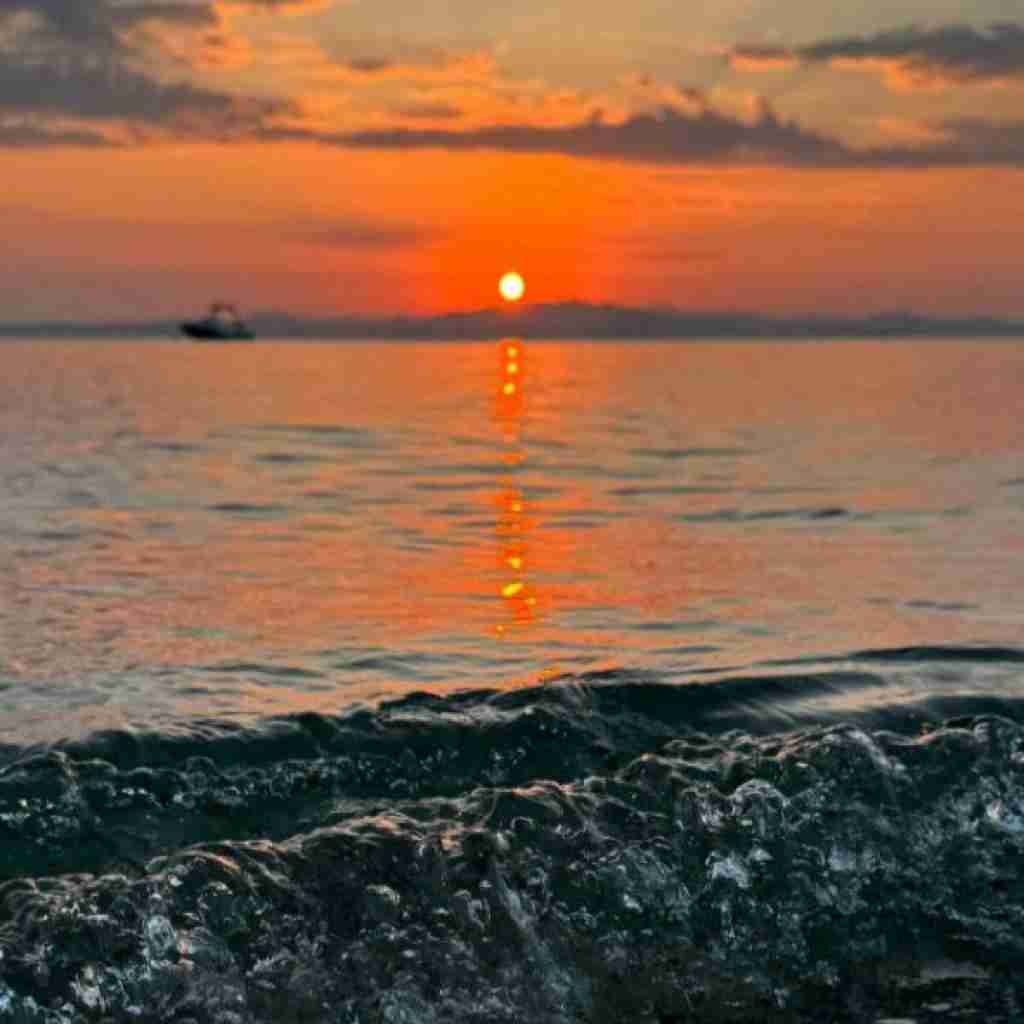 دیگه به ندرت میکشم از خلوت بیرون