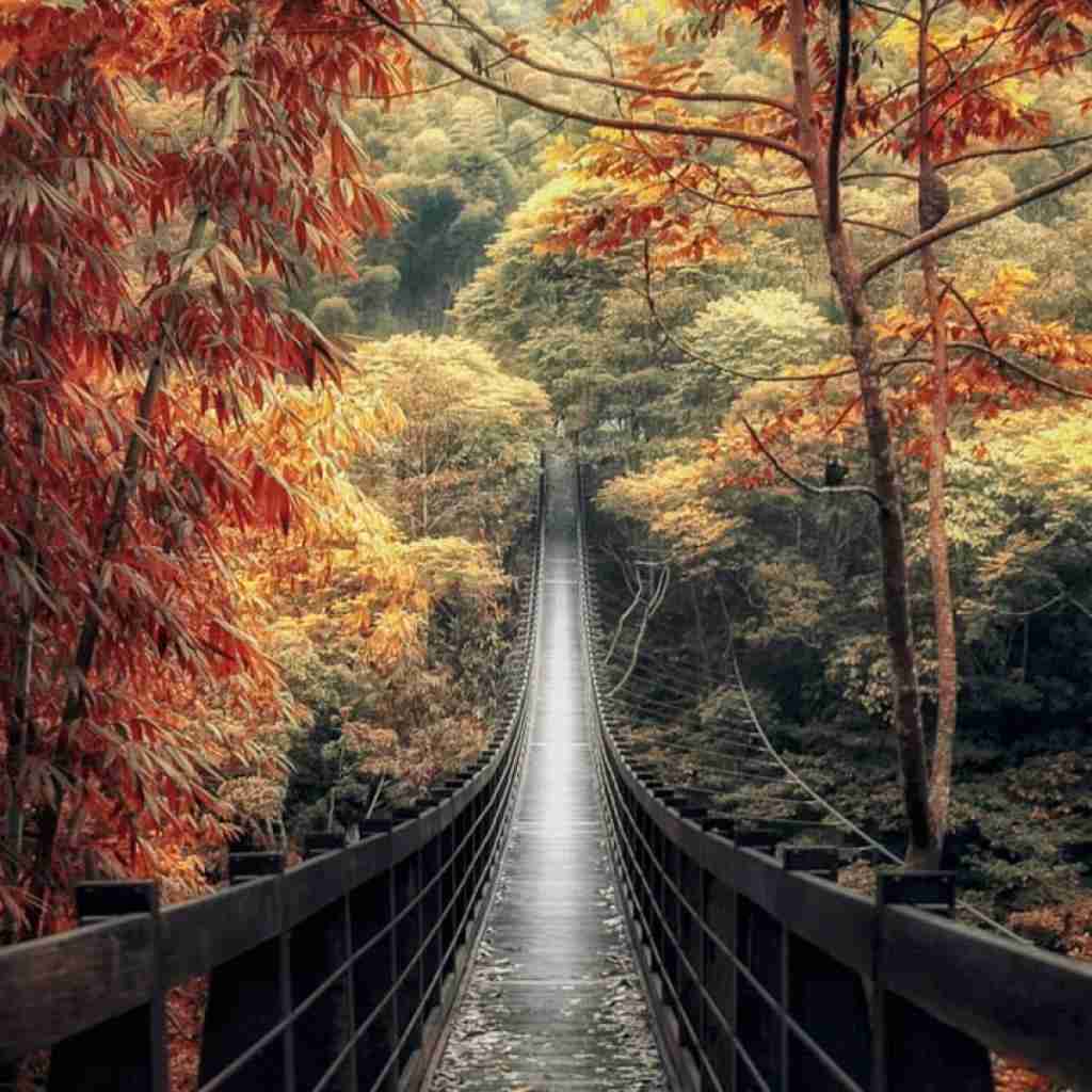 نه نداره فرق دیگه واسه من هرجا میری برو