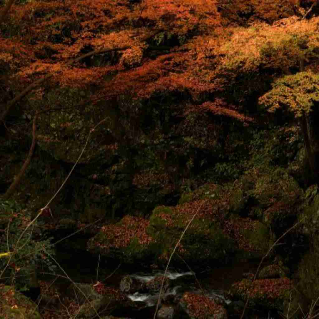 دشی میگیری سیس و با سیگار برامون دلش میخواد