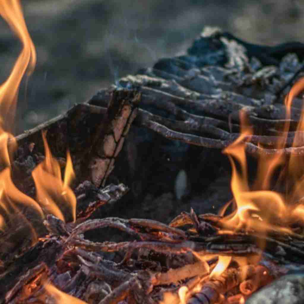 خبر رسیده بعد من با چند نفر بودی