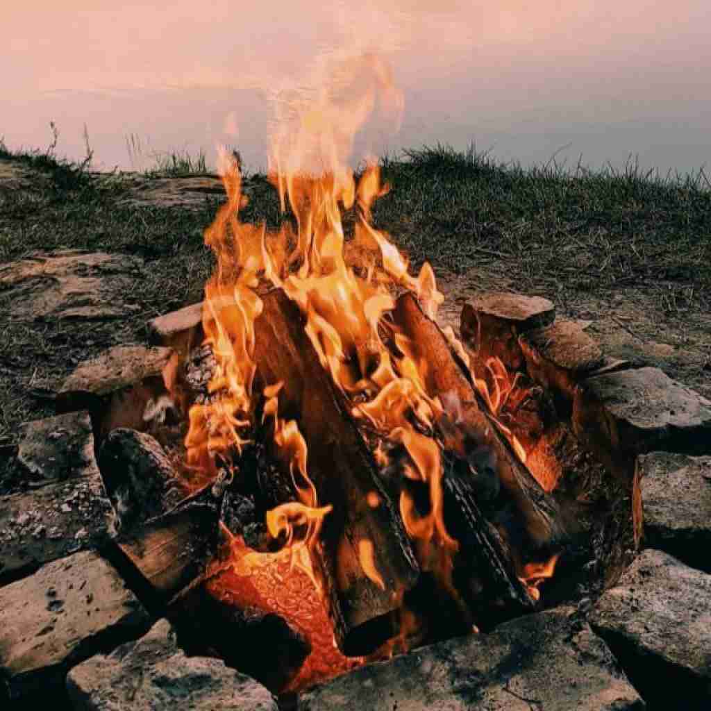 نرو نزار اصلا بشیم ما فراری با اینکه دیگه حتی