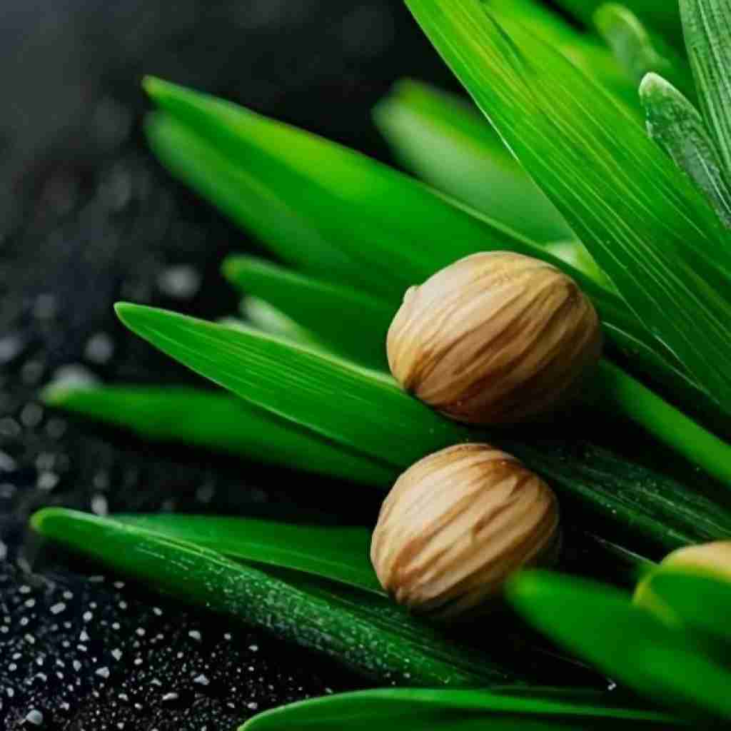 چطوری غریبه آشنا دمت گرم زدی یه سری به خواب ما