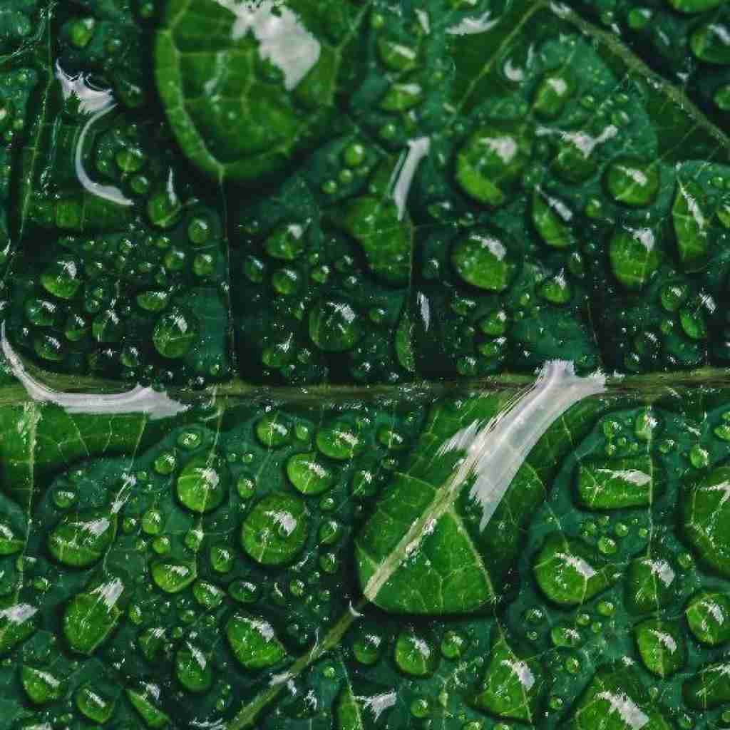 به اونجایی رسیدم که گم کردم خدامو