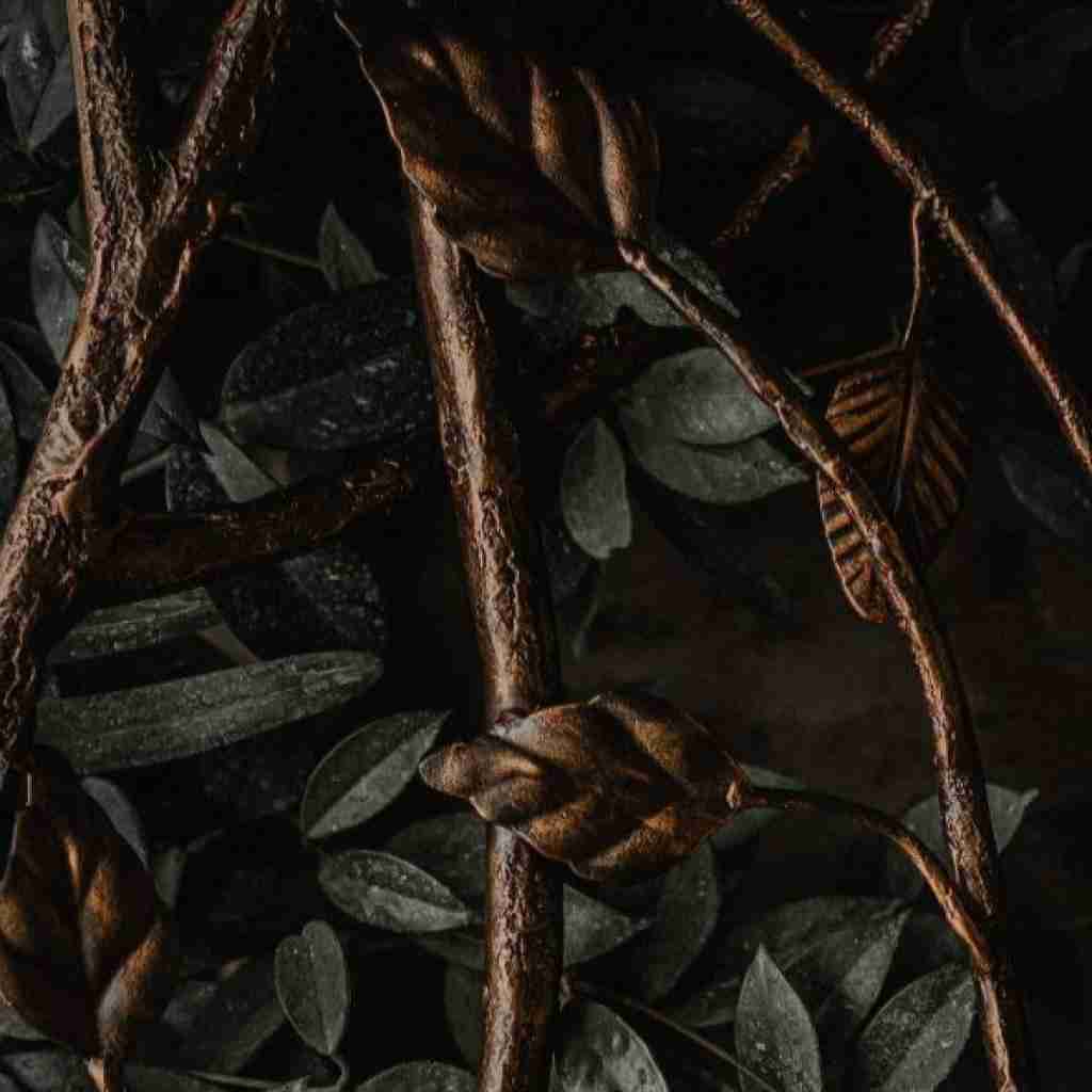  وسط هفته برام جمعه شده نیا غربت