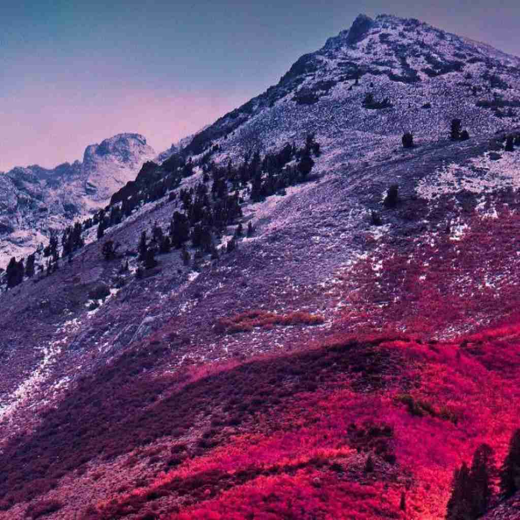 همه رفتن همه از دم هرکی رو پاش موند دمشم گرم