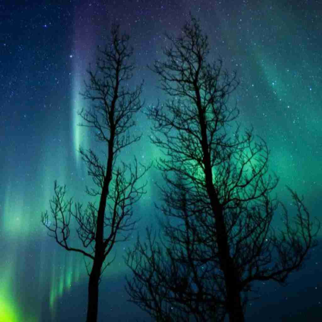 تنها حسم به اکسمه یه شب با کاراش