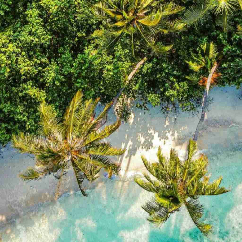 رفیقام میزنن رفیقاتو ده شیش خودم و خودت دوازه هیچ