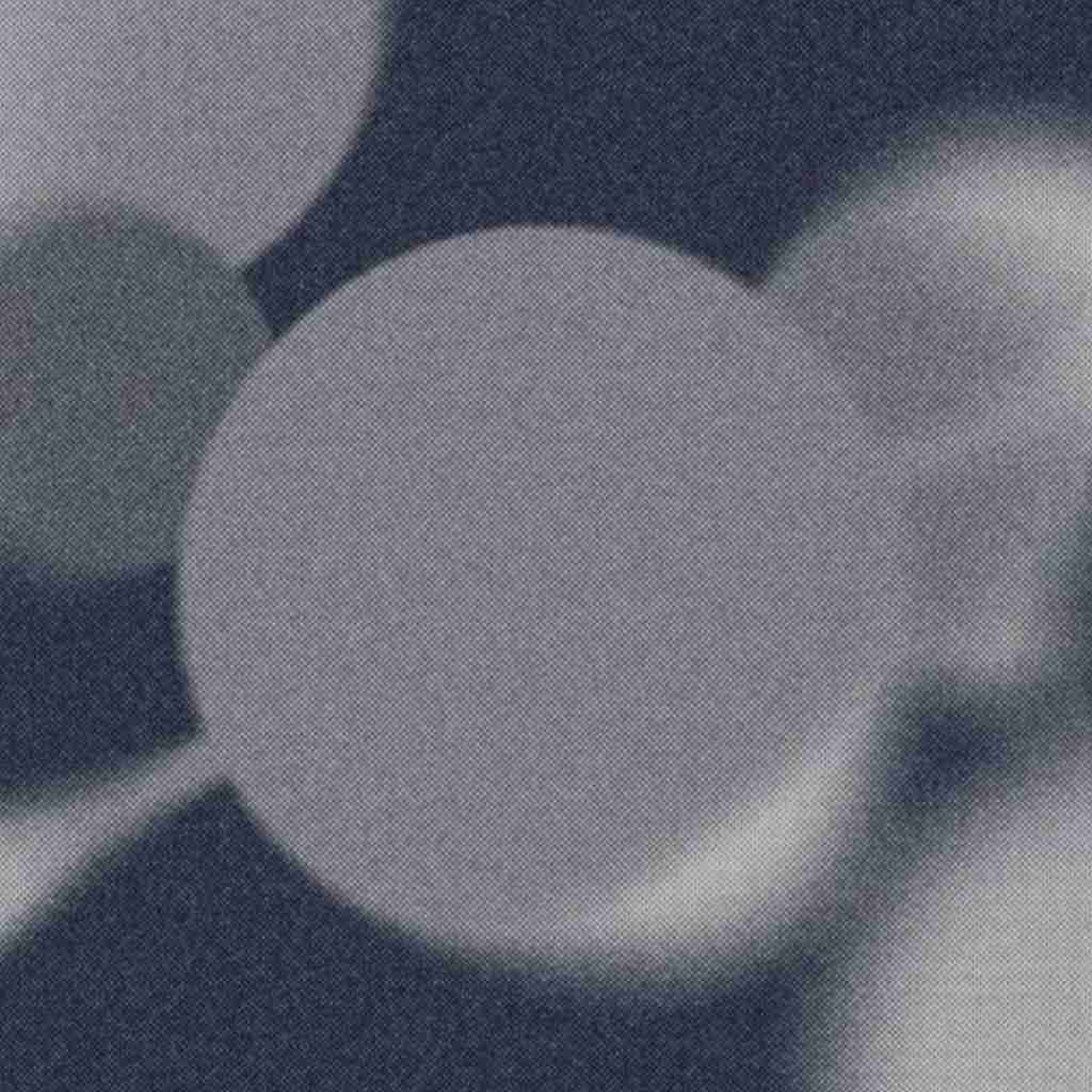 فاطمه رحمانی پاییز