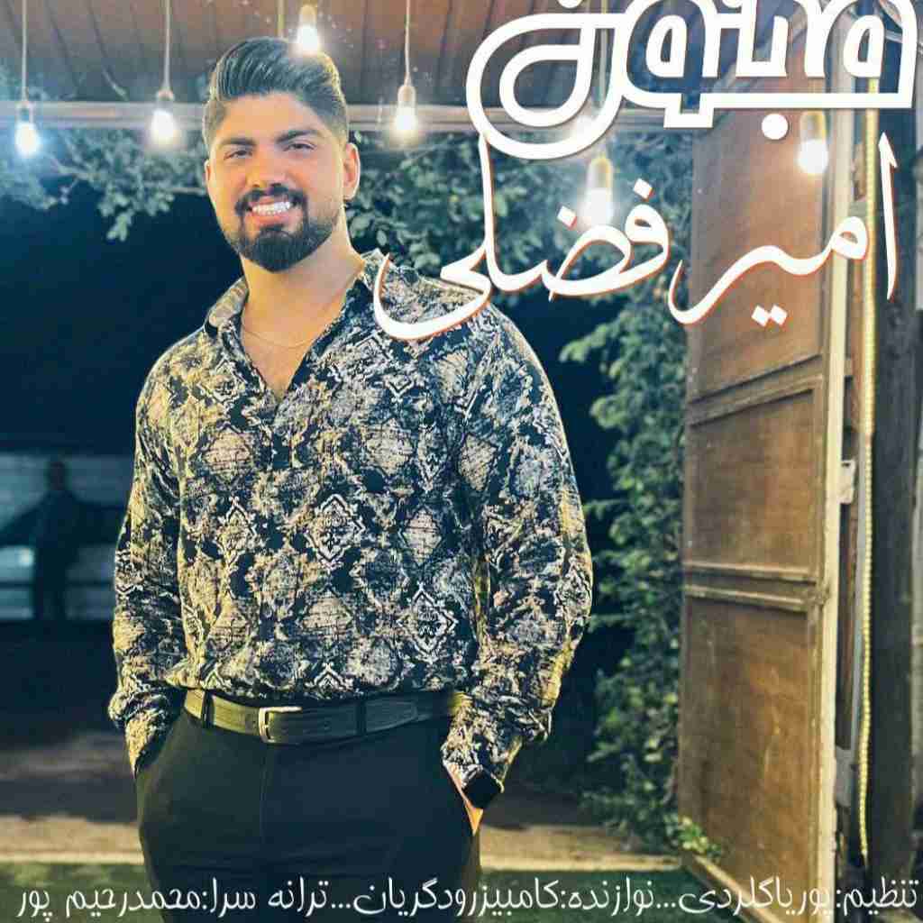 امیر فضلی مجنون