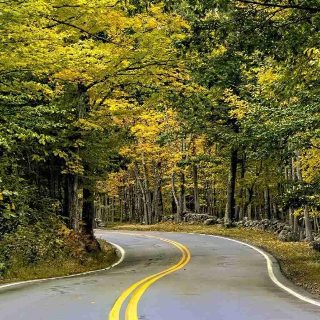  گفتم بیا بسازیم از نو پلای شکسته رو با صدای زن - هوش مصنوعی