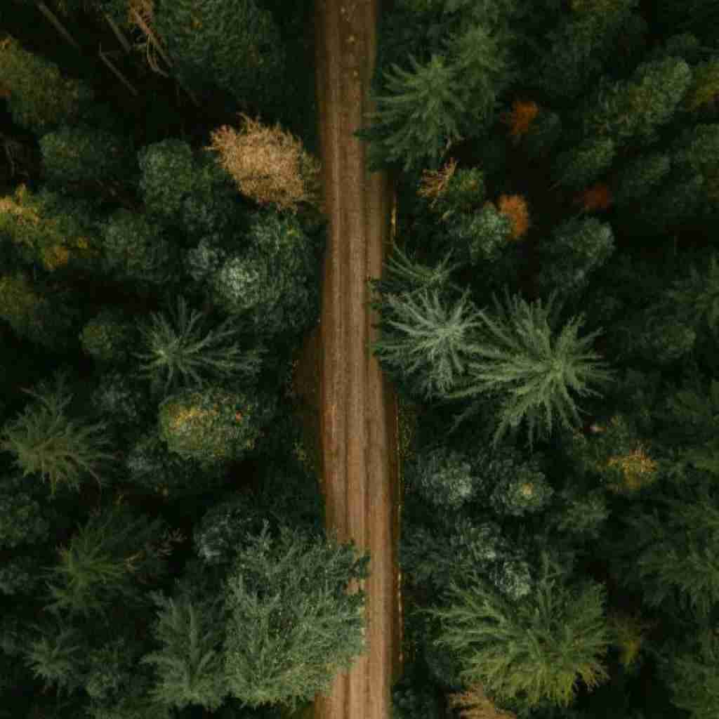 دلم گرفته است به این دل شکسته جان بده