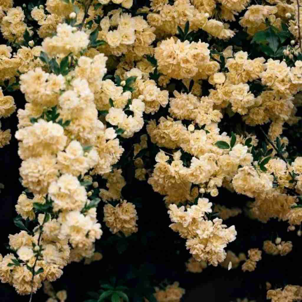  دل تنگه واسه یه احترام ساده زندگی یه جاده