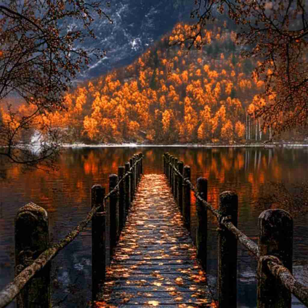  یعنی الان کجای این شهری چطوری از غریبه ها غریبه تر