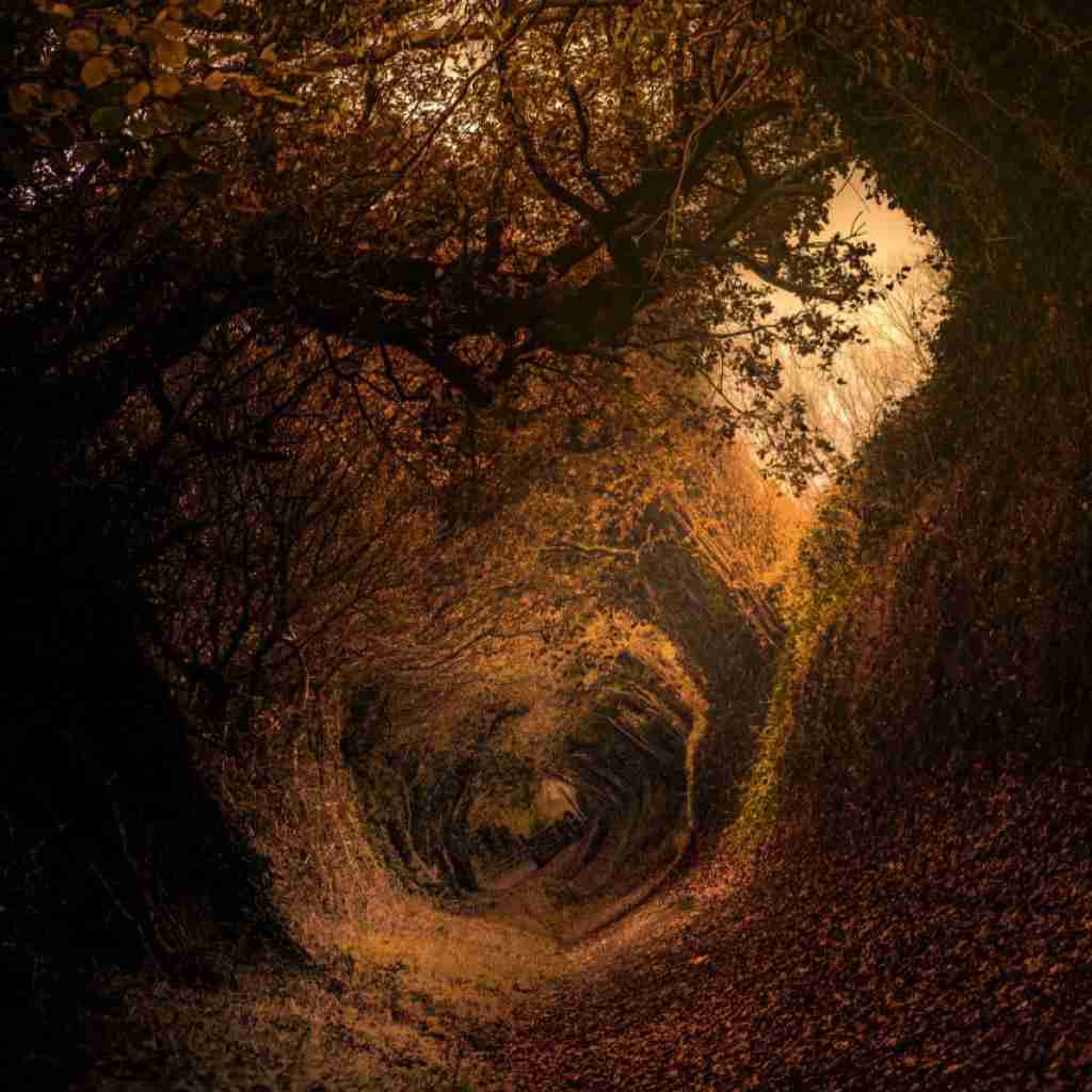  غم اونه بیه هونه ابدیم هی چه فاز سنگینی (ترند اینستایی)